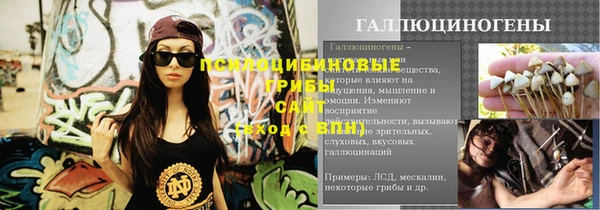 ешки Алексин